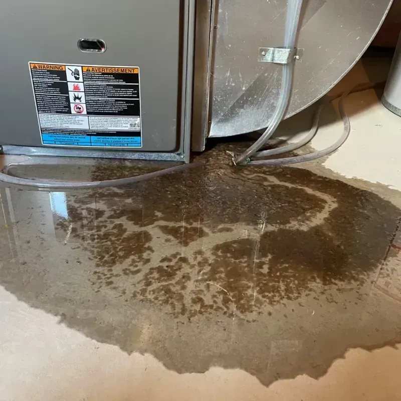 Appliance Leak Cleanup in Seeley Lake, MT